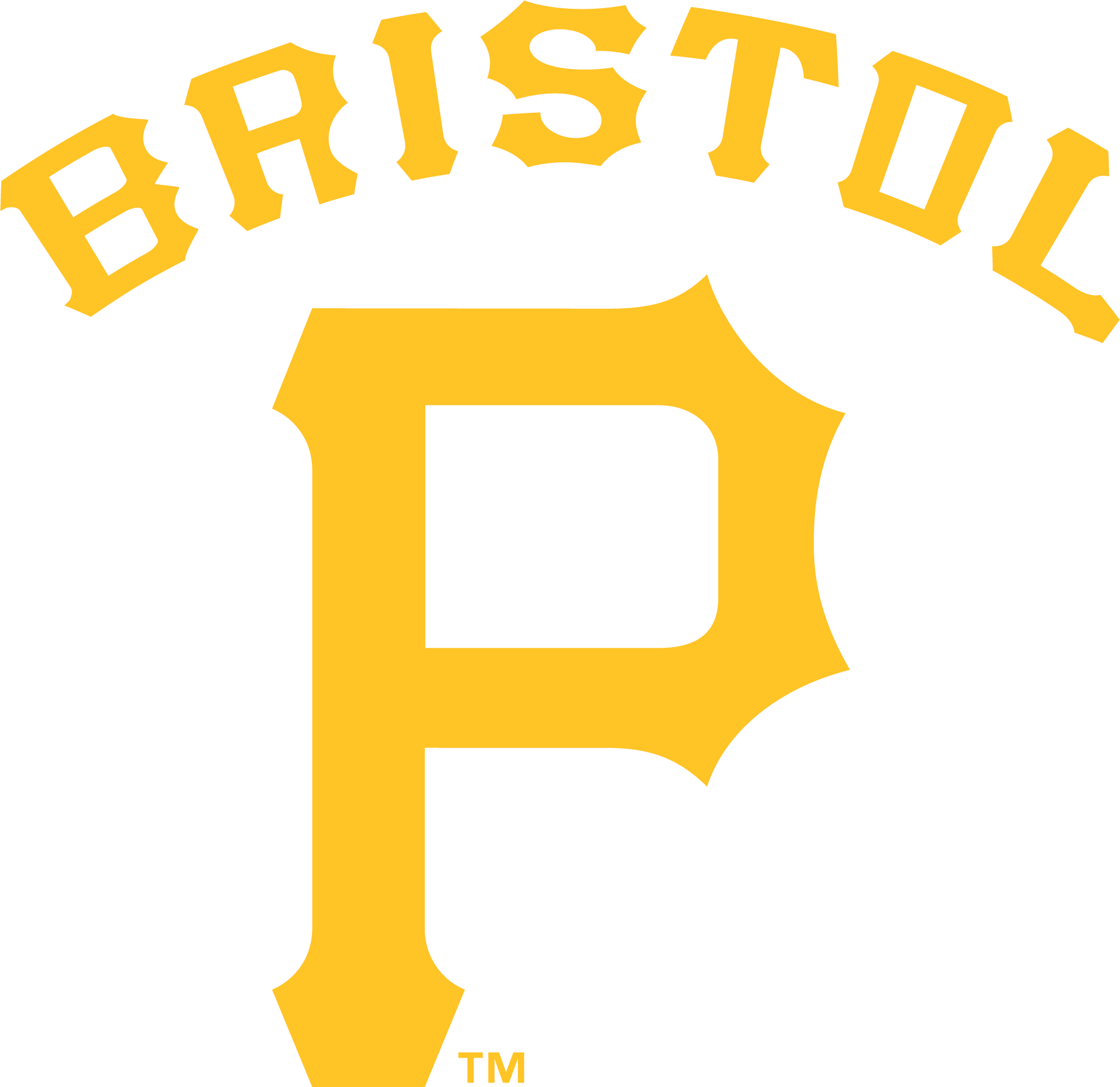 Bristol Pirates 2014-Pres Primary Logo iron on heat transfer